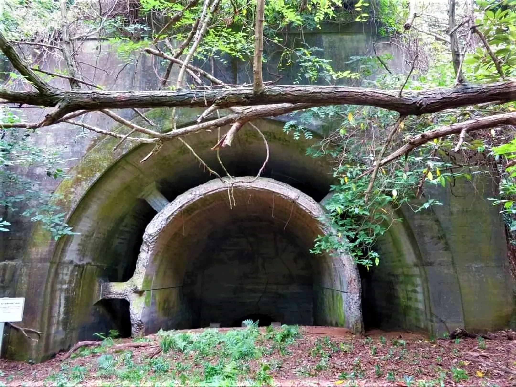 呉市日本遺産 鎮守府 横須賀・呉・佐世保・舞鶴～日本近代化の